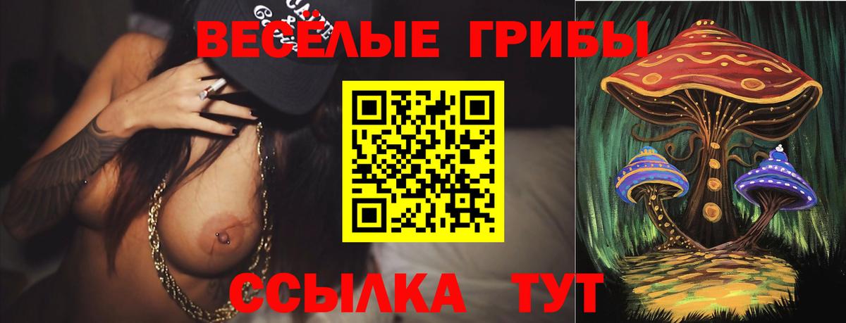 Галлюциногенные грибы Psilocybine cubensis Можга