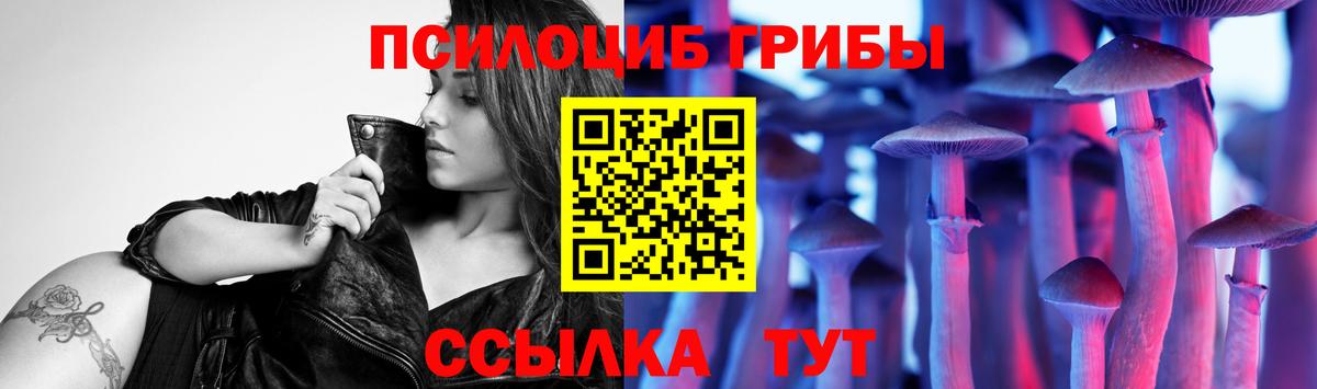 где продают наркотики  Вход с VPN  Можга  Псилоцибиновые грибы мицелий 